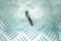 Head screw  D9306