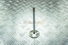 Inlet valve  D926