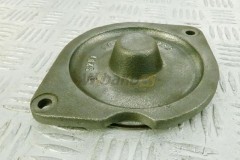 Water pump cover  D904