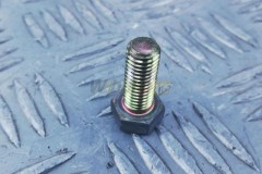 Vibration damper screw  D9508
